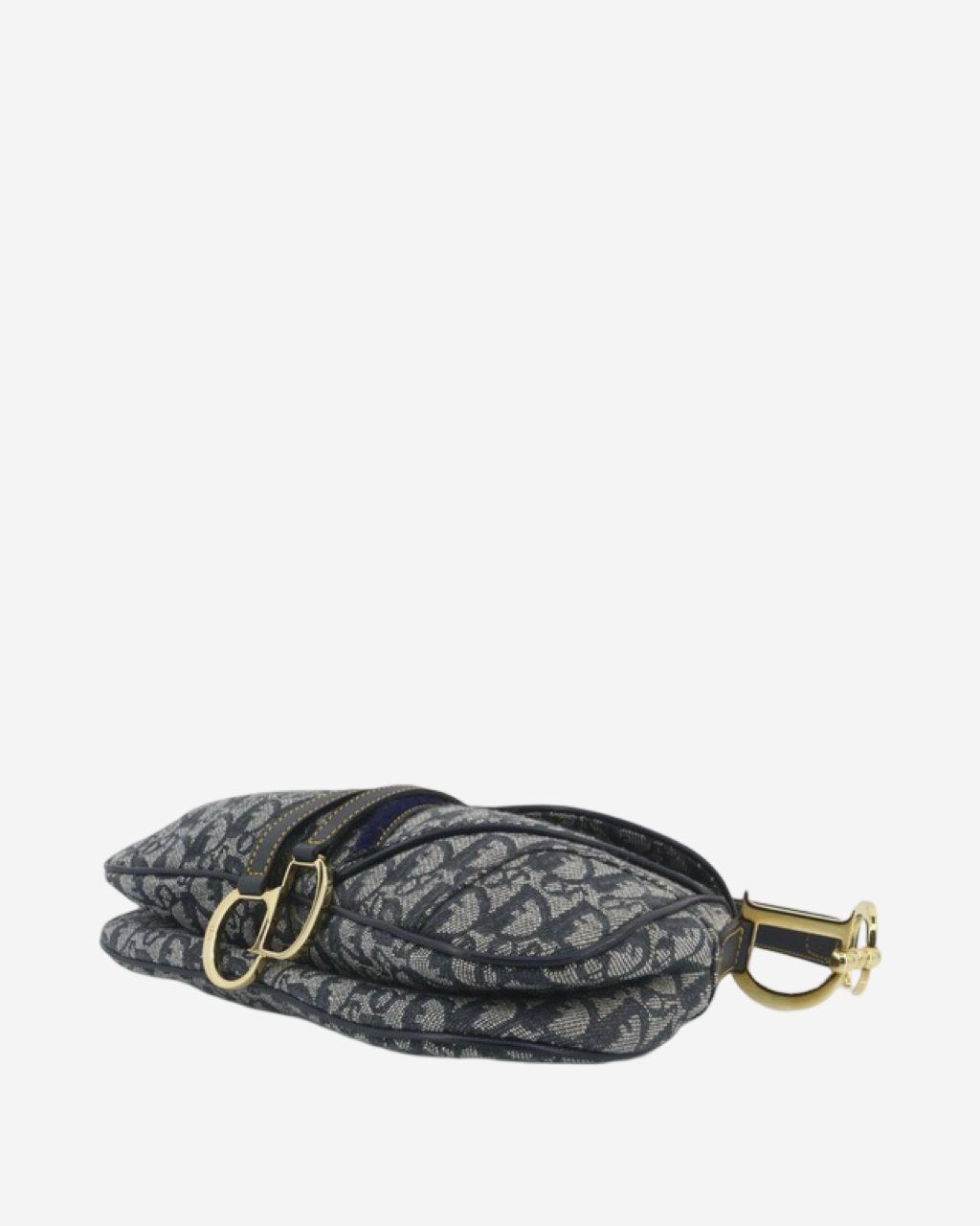 Dior Double Saddle Bag
