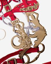 Hermès Brides Gala Scarf