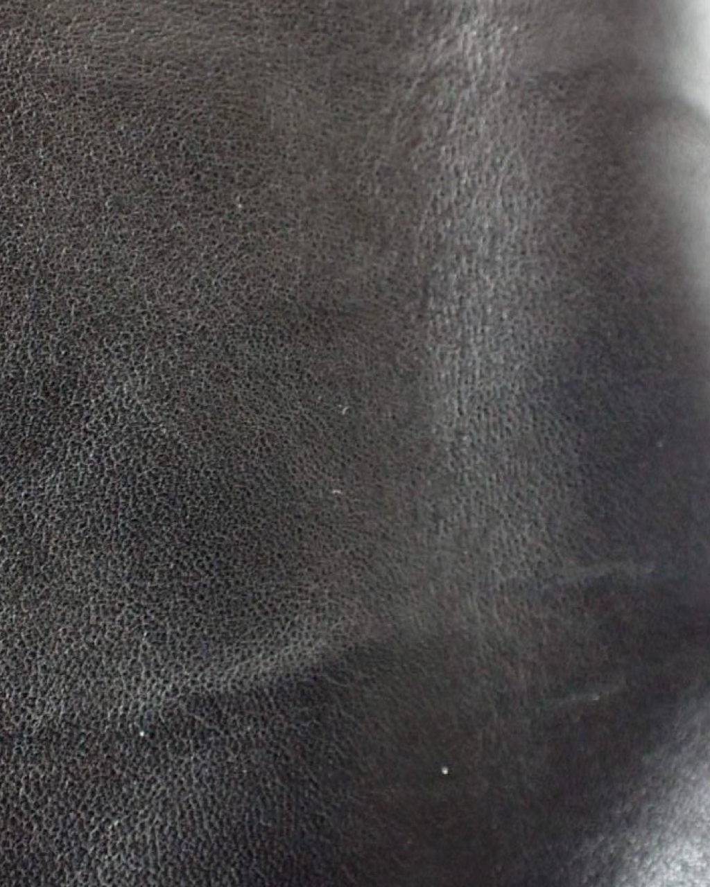 Chanel Hula Hoop Bag 2013-2014