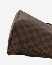 Bolsa Louis Vuitton Neverfull PM Damier Ebene