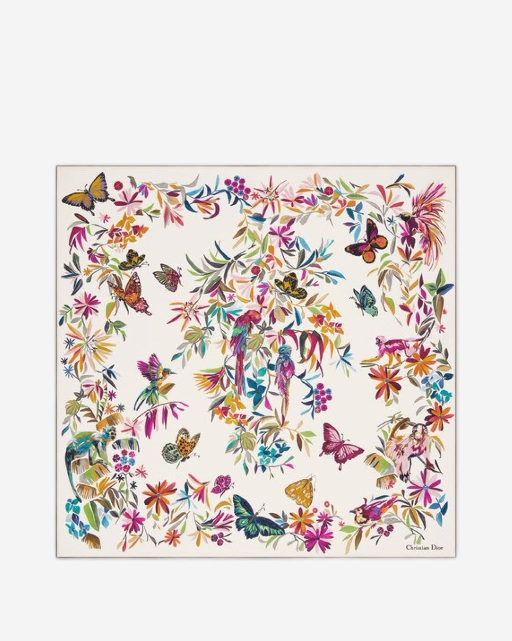 Dior Butterfly Scarf