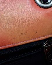 Chanel Flower Power Bag 2015-2016