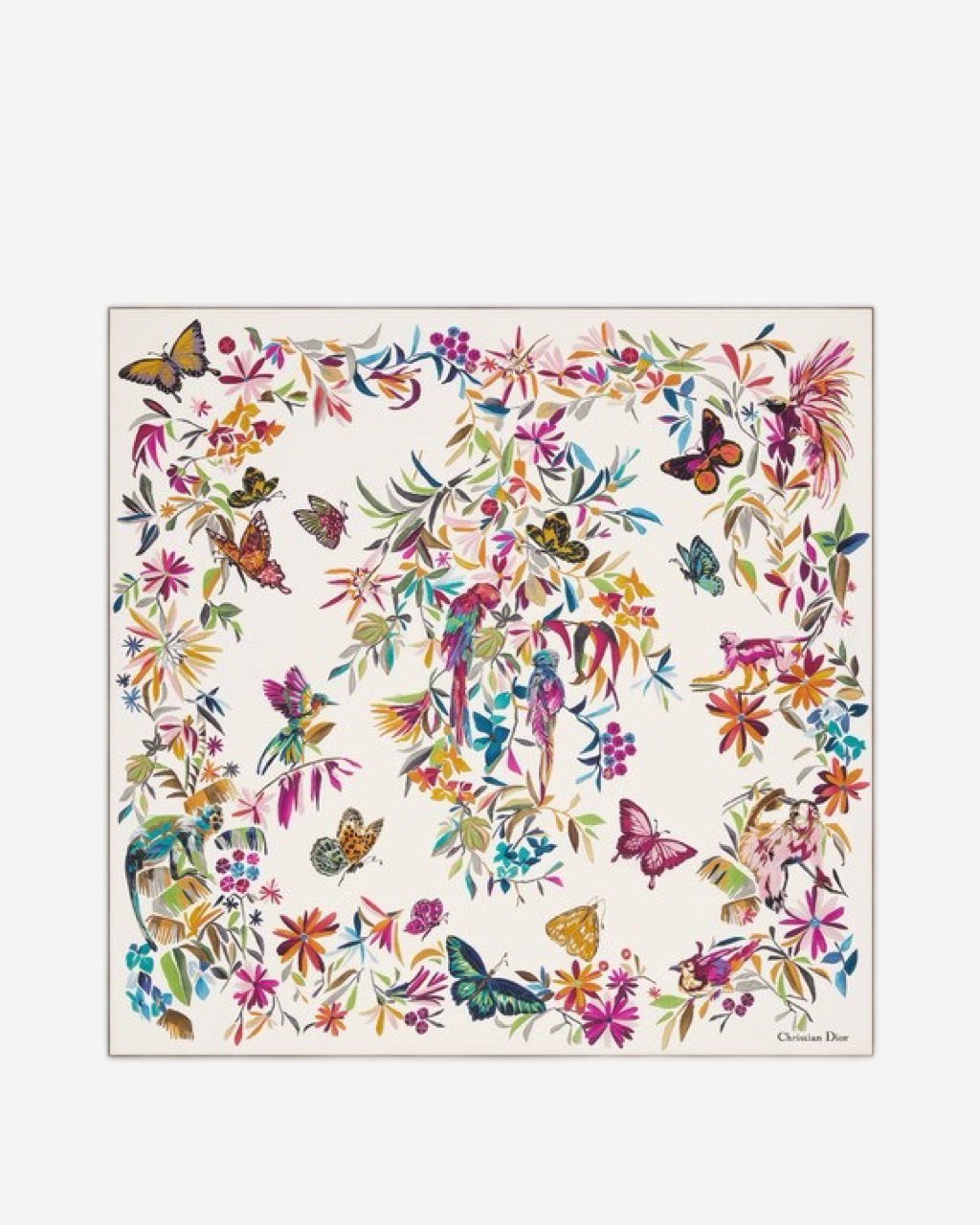 Dior Butterfly Scarf
