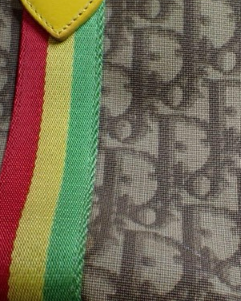 Dior Boston Rasta Bag