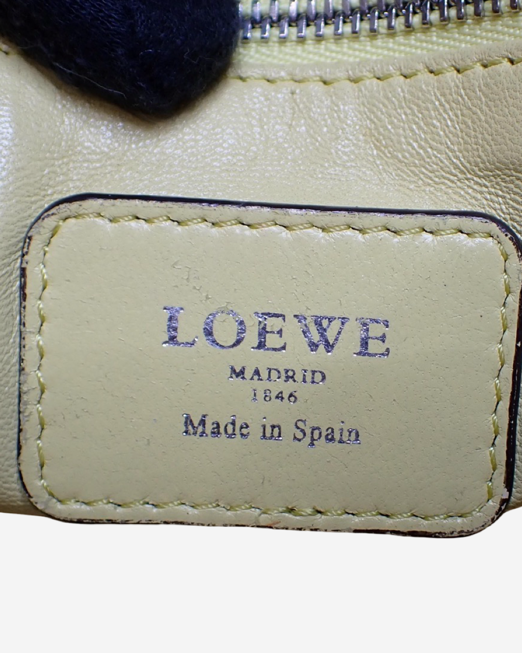Loewe Amazona bag
