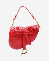 Dior Saddle Mini Bag