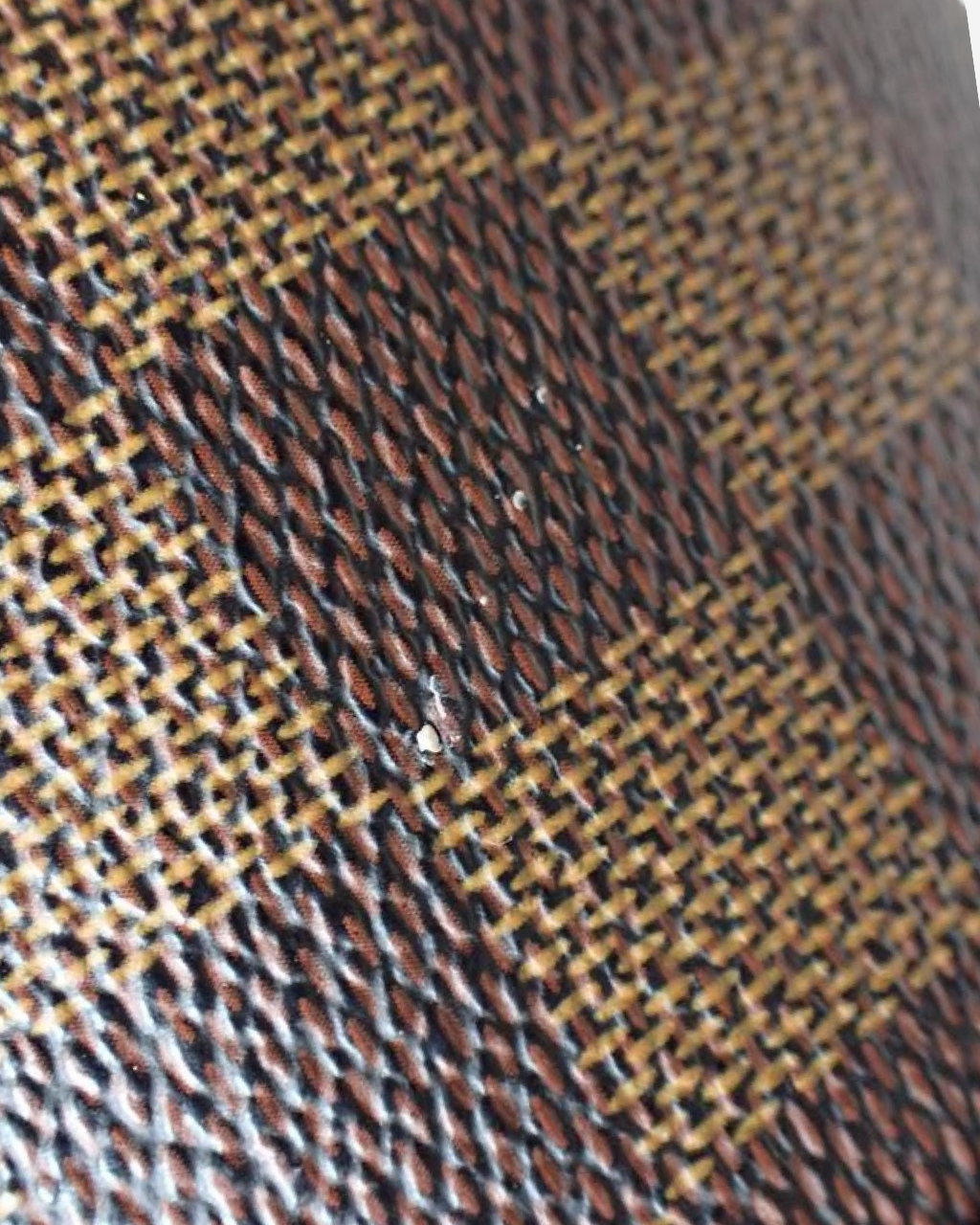 Louis Vuitton Papillon Damier Bag