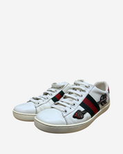Tenis Gucci Ace 35.5