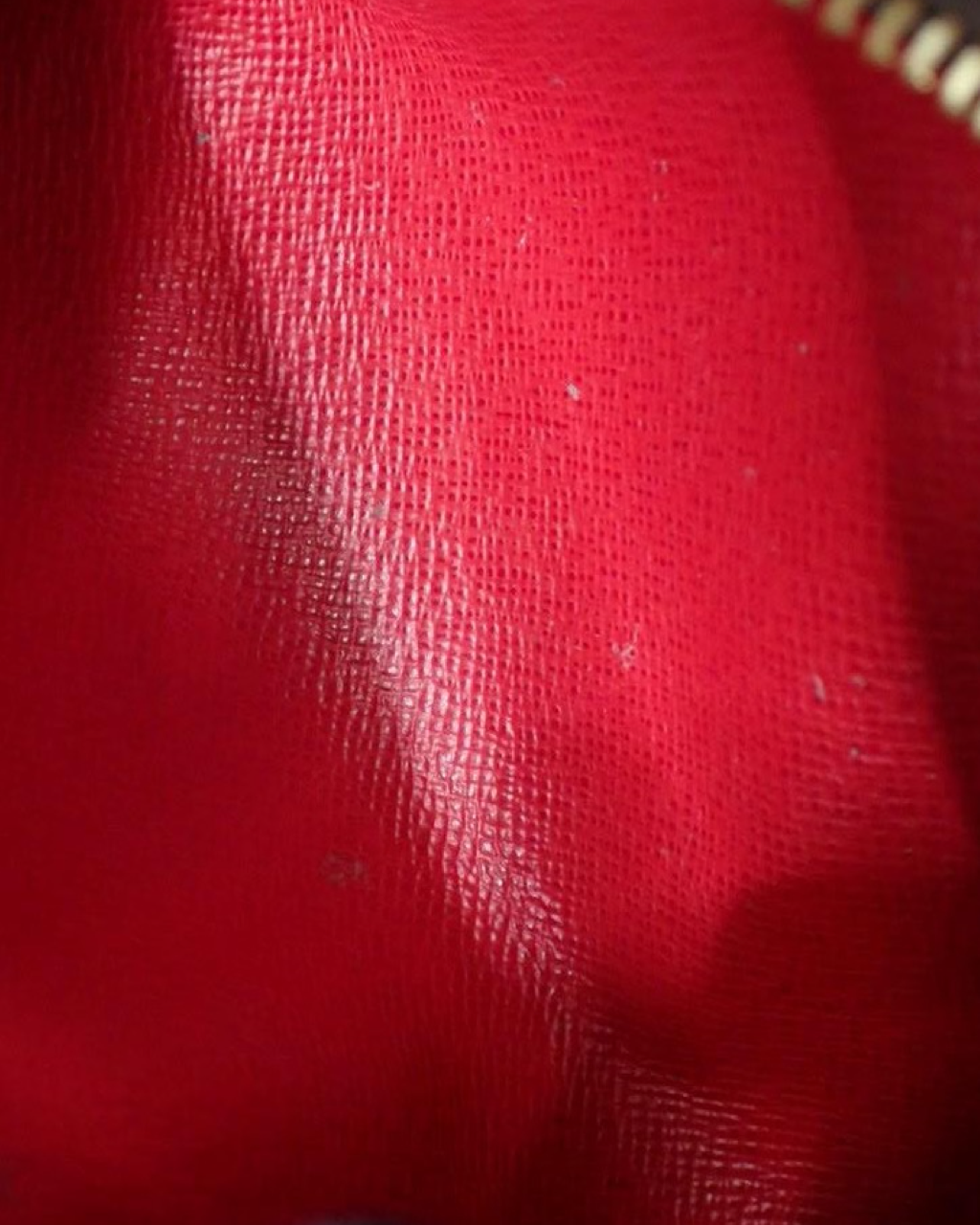 Louis Vuitton Papillon Damier Bag