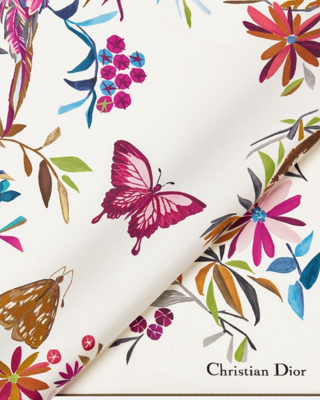 Dior Butterfly Scarf
