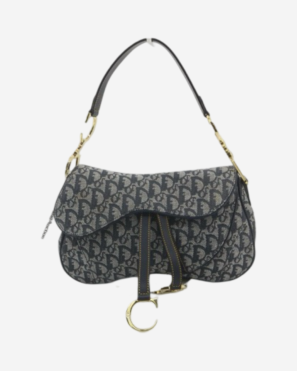 Dior Double Saddle Bag