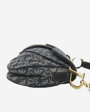 Dior Double Saddle Bag