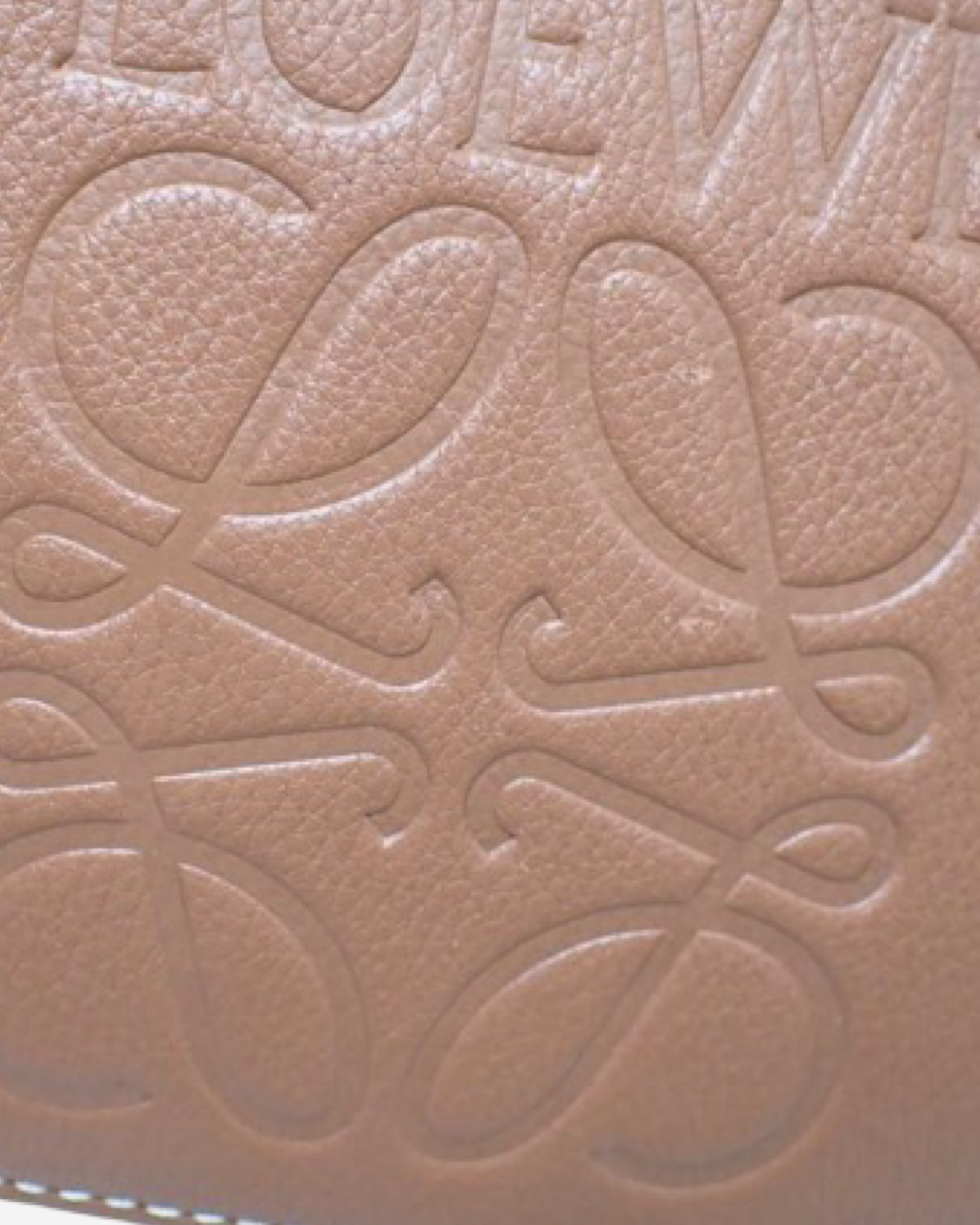 Bolsa Loewe Basket