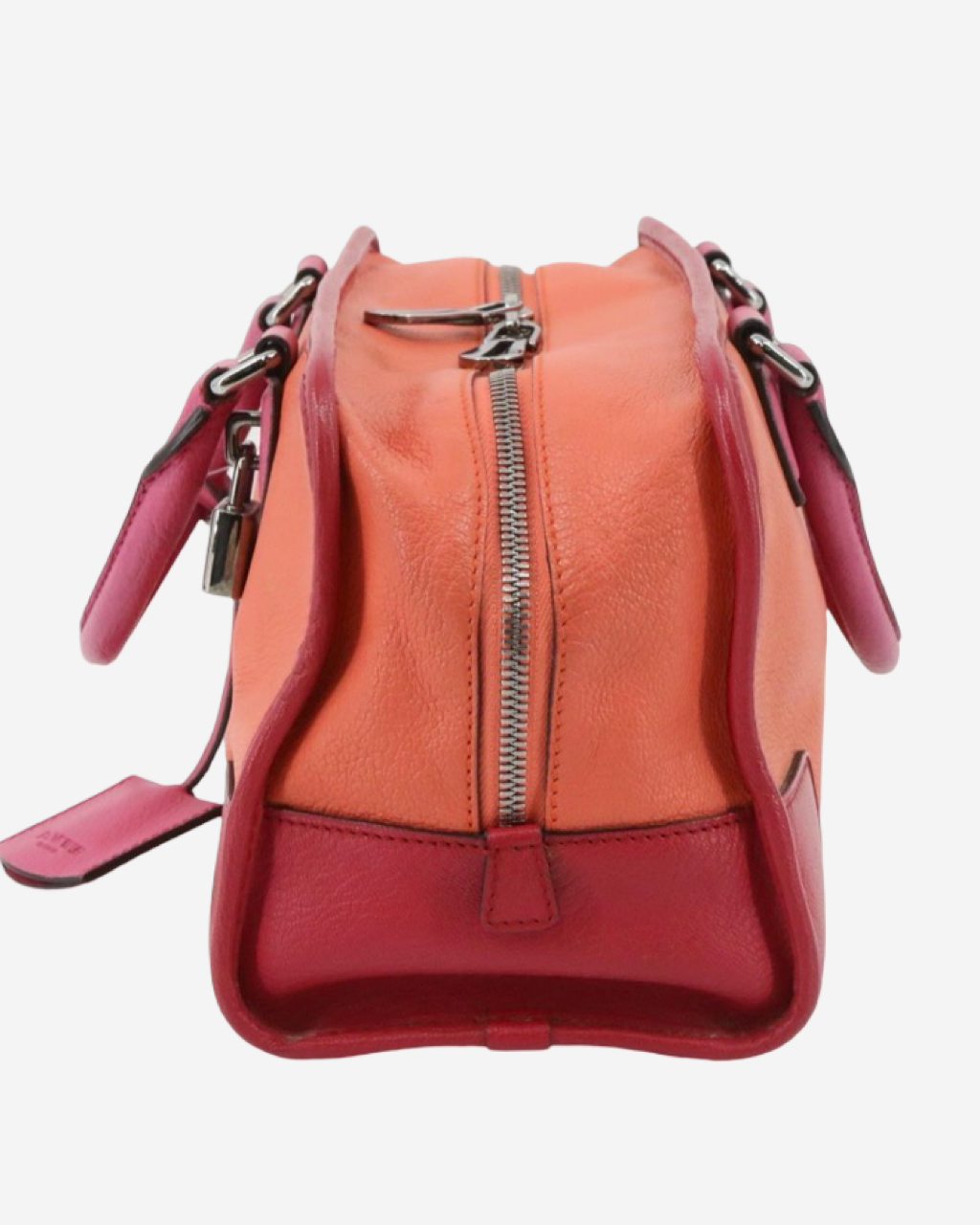 Bolsa Loewe Amazona