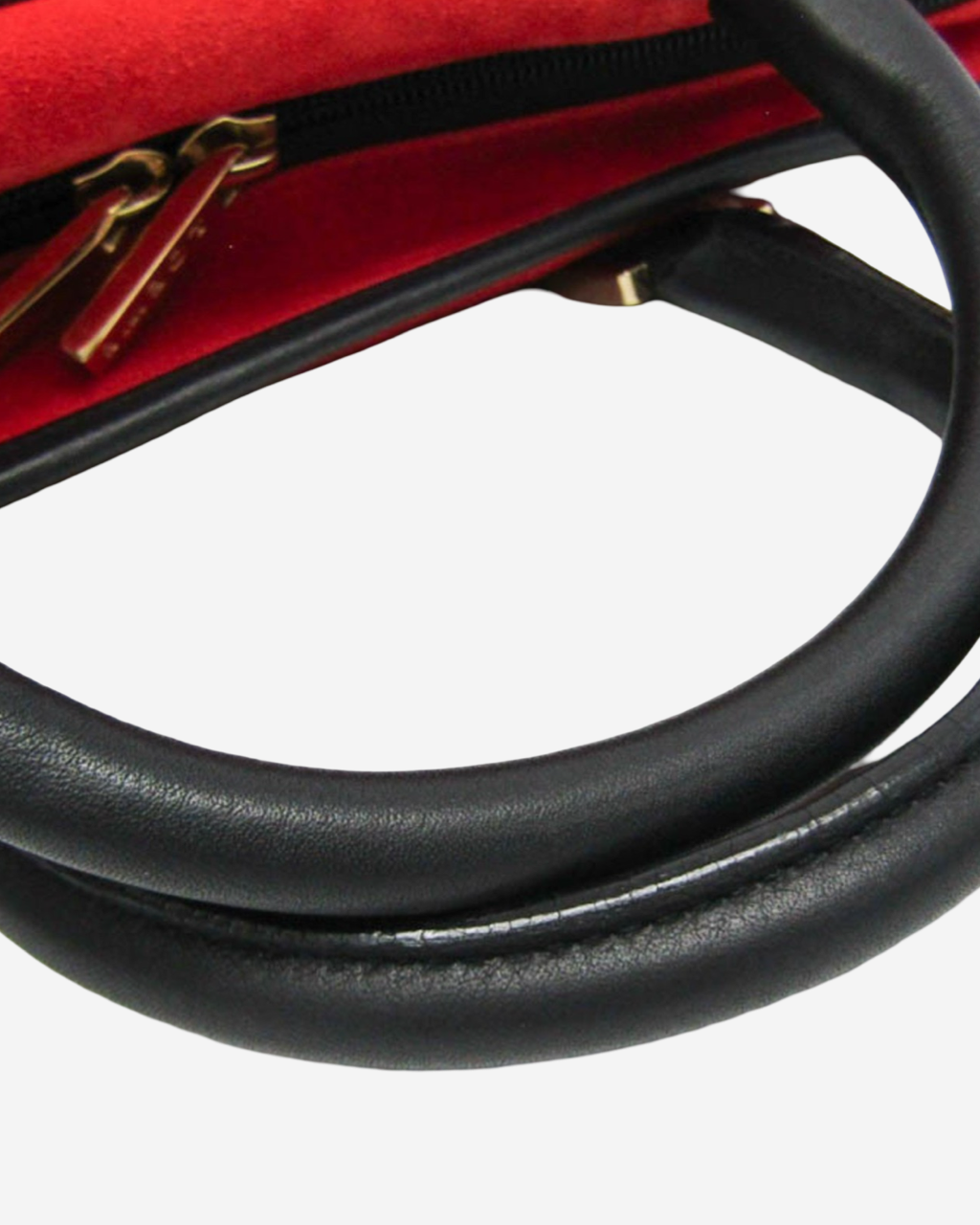 Bolsa Loewe Amazona