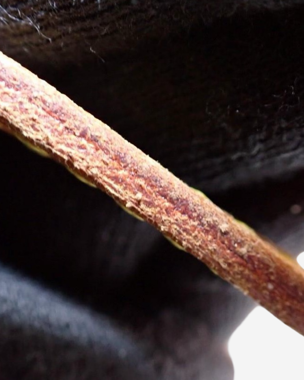 Louis Vuitton x Yayoi Kusama Neverfull Bag