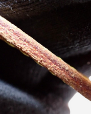 Louis Vuitton x Yayoi Kusama Neverfull Bag