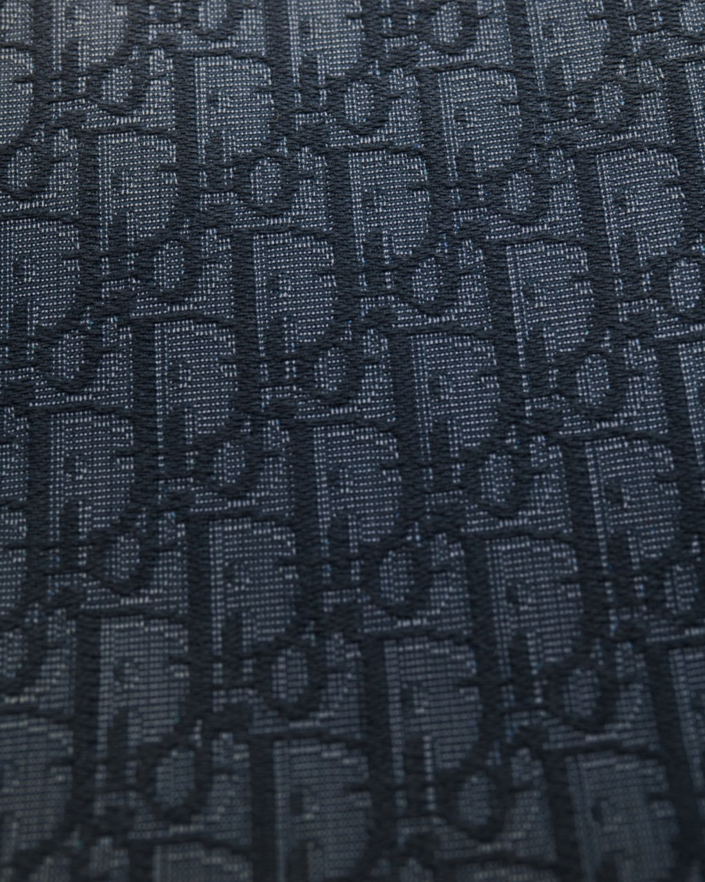 Dior Monogram Pouch