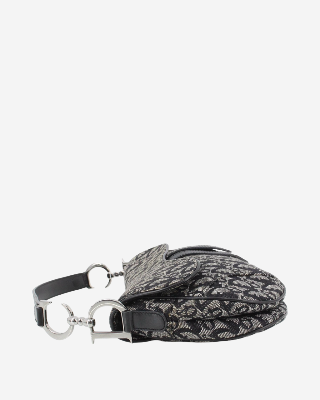 Bolso Dior Saddle Trotter