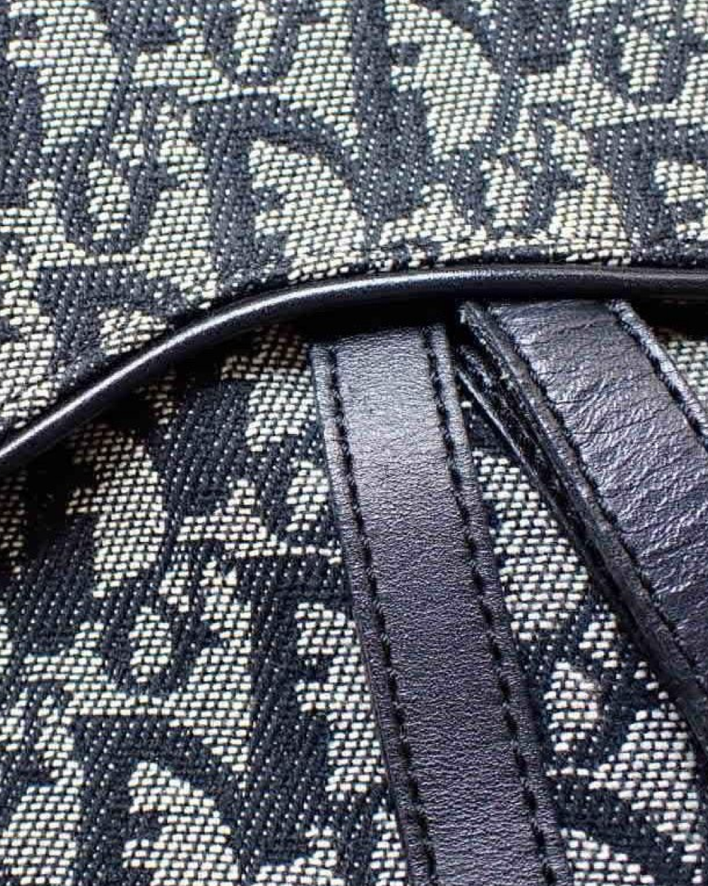 Bolso Dior Saddle Trotter
