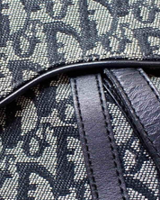 Bolso Dior Saddle Trotter