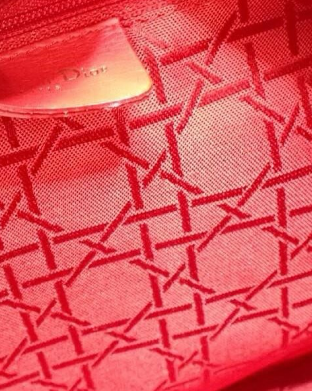 Bolso Lady Dior Nylon