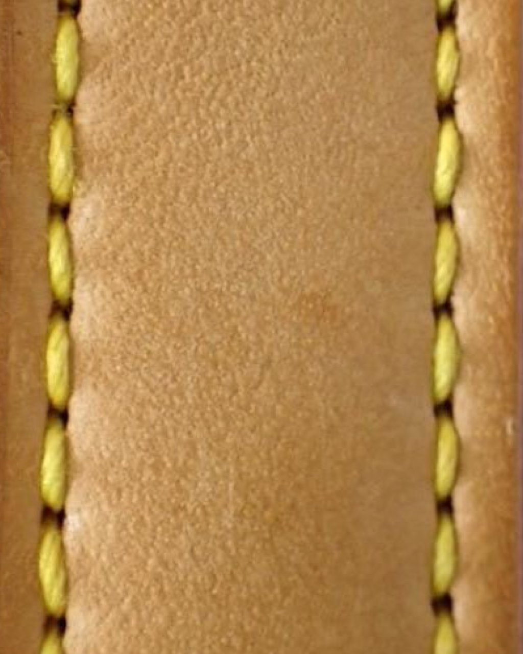 Louis Vuitton Looping GM Bag