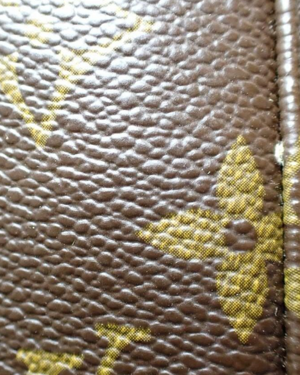 Louis Vuitton Looping GM Bag
