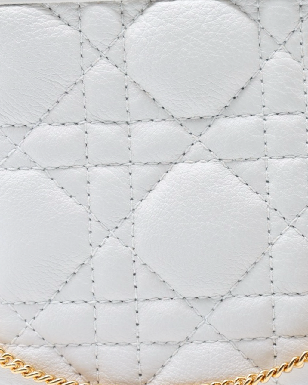 Bolso Dior Caro Every