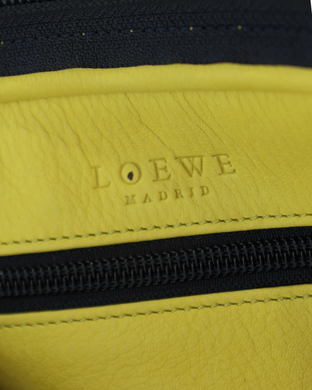 Bolso Loewe Amazona 35 East West