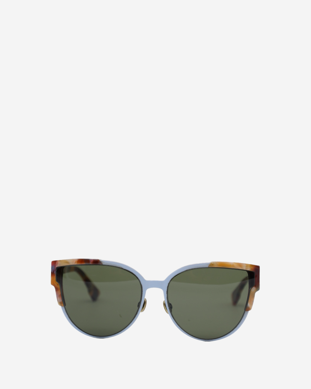 Dior Wildy Dior/S Sunglasses