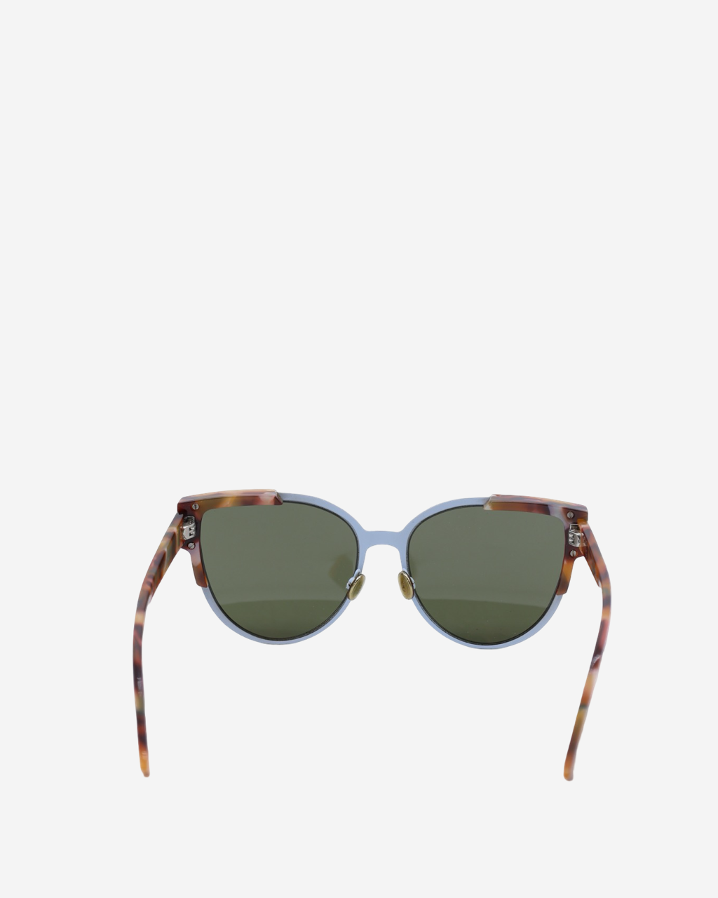 Dior Wildy Dior/S Sunglasses