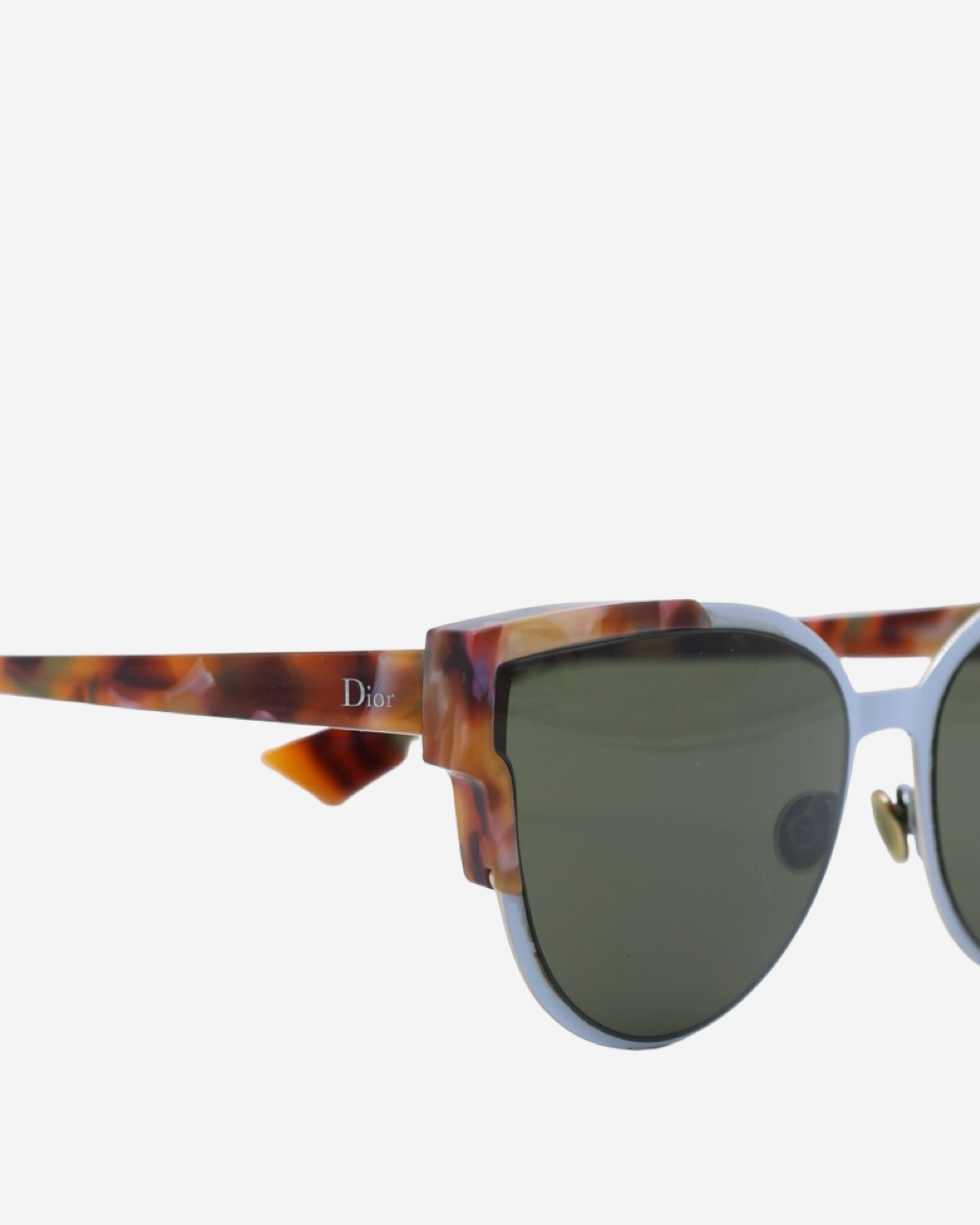 Dior Wildy Dior/S Sunglasses