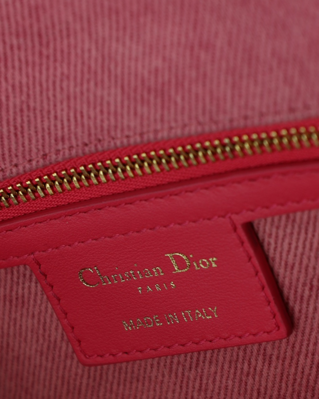 Bolso Dior Denim Caro 2022