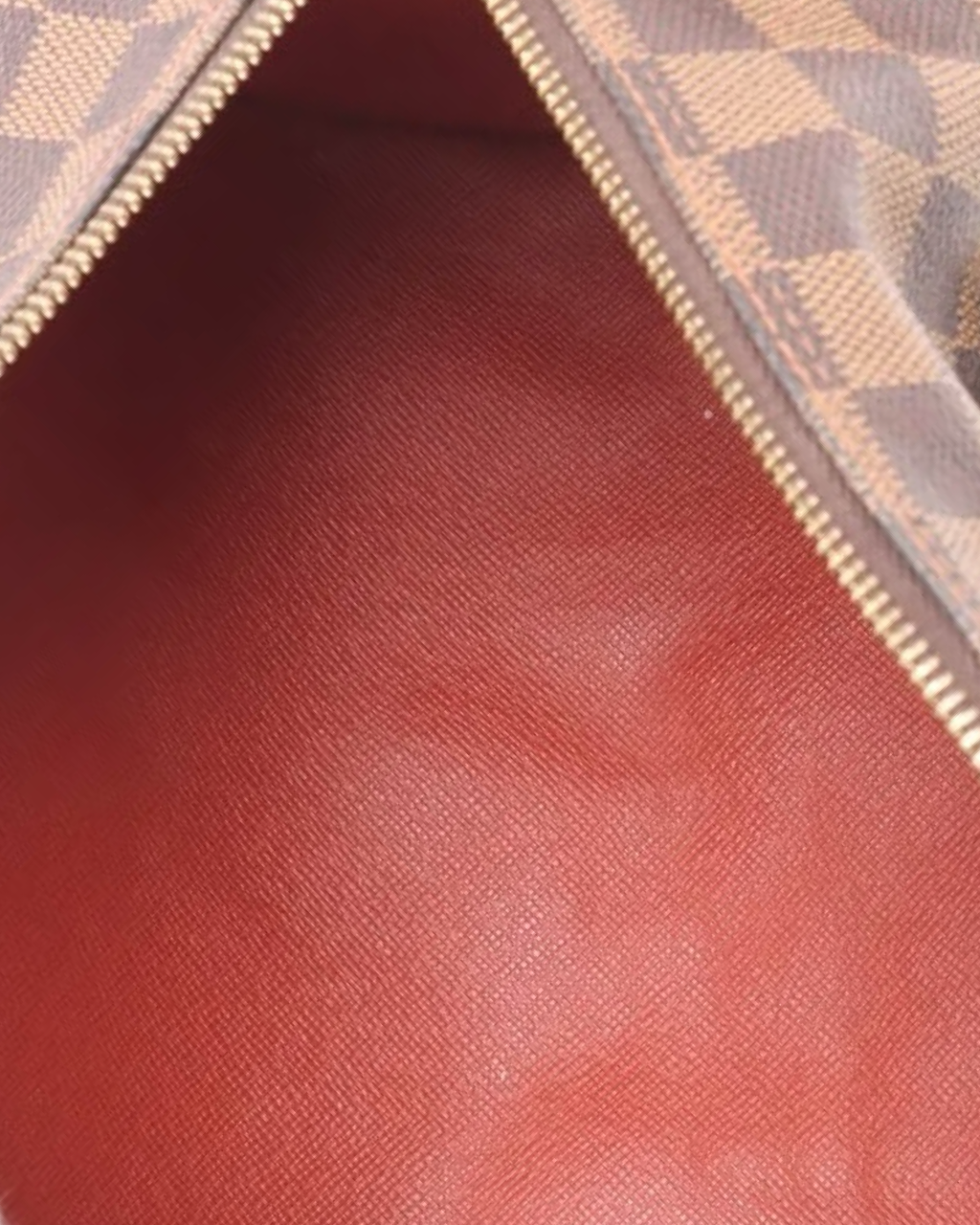 Louis Vuitton Damier Ebene Papillon 30 Bag