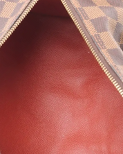 Louis Vuitton Damier Ebene Papillon 30 Bag