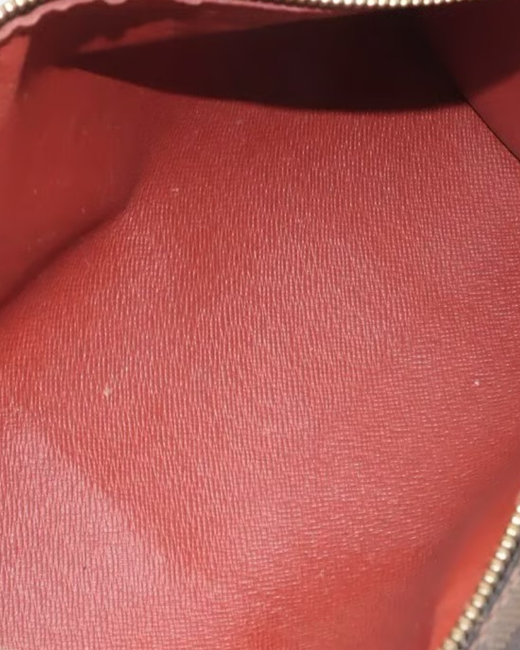 Louis Vuitton Damier Ebene Papillon PM Bag