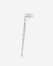 Dior Earrings