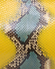 Bolso Fendi Peekaboo Pitón