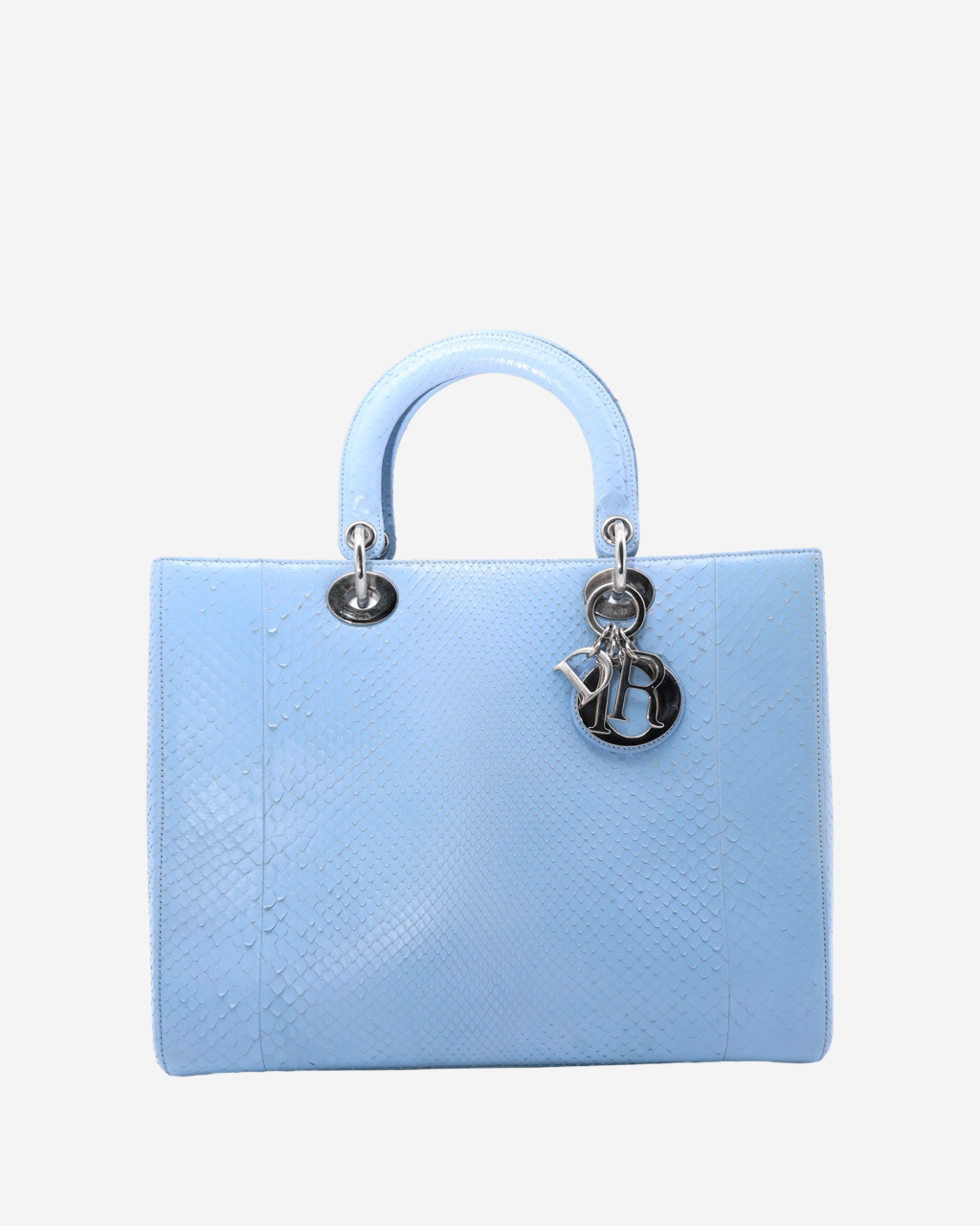 Lady Dior Snakeskin Bag 2004