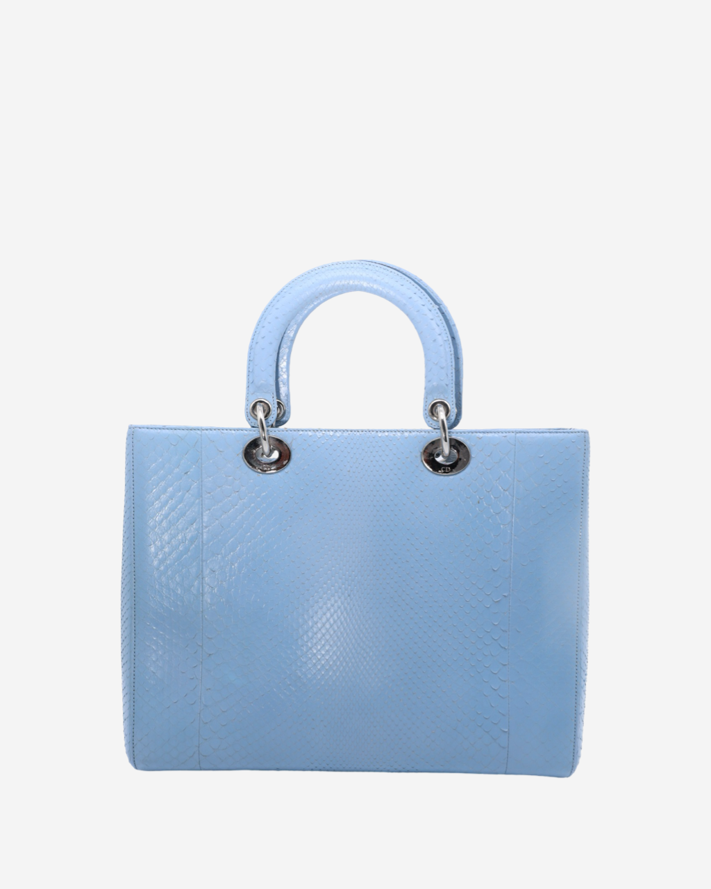 Lady Dior Snakeskin Bag 2004