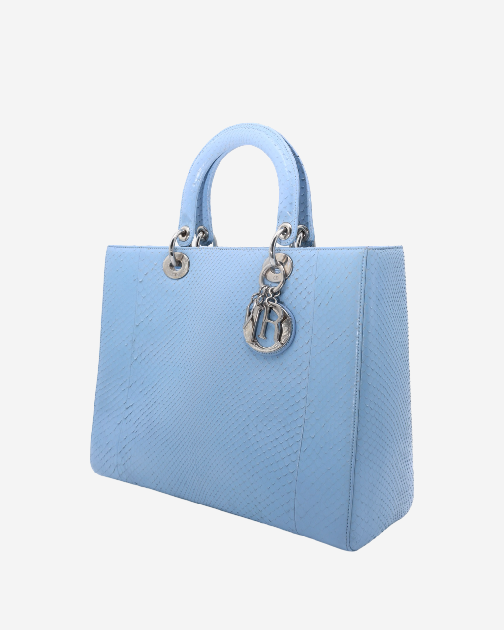 Lady Dior Snakeskin Bag 2004