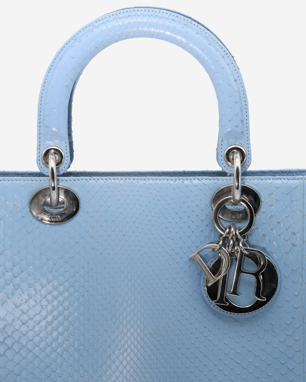 Lady Dior Snakeskin Bag 2004