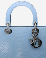Lady Dior Snakeskin Bag 2004