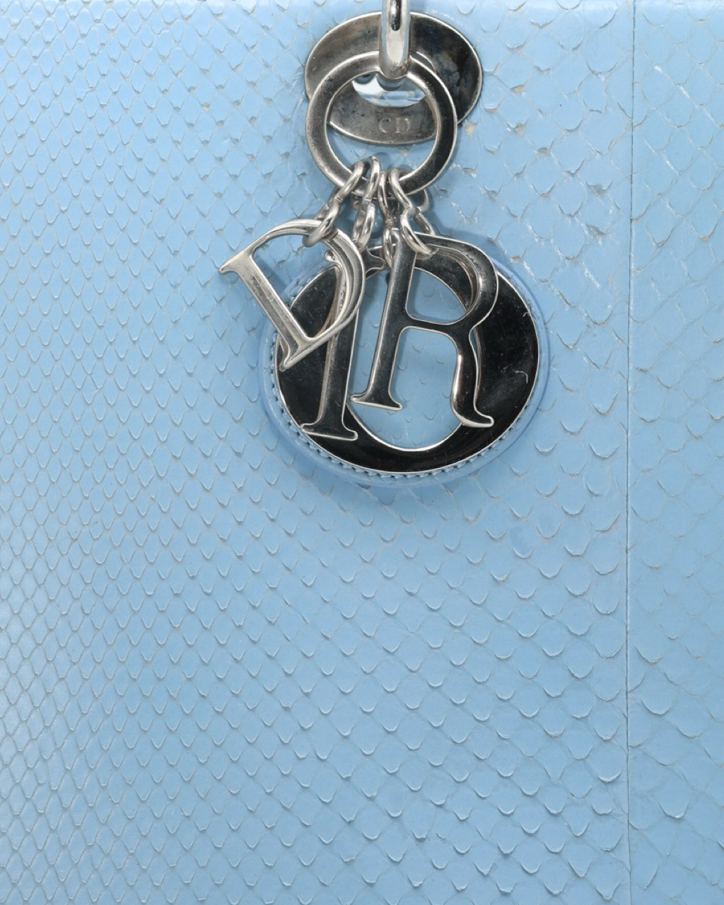 Lady Dior Snakeskin Bag 2004