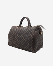 Louis Vuitton Speedy 30 Mini Lin Handbag