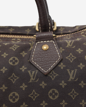Louis Vuitton Speedy 30 Mini Lin Handbag