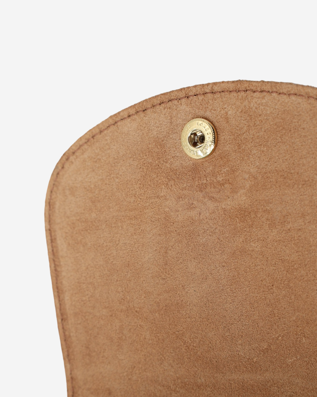 Longchamp Le Pliage Backpack