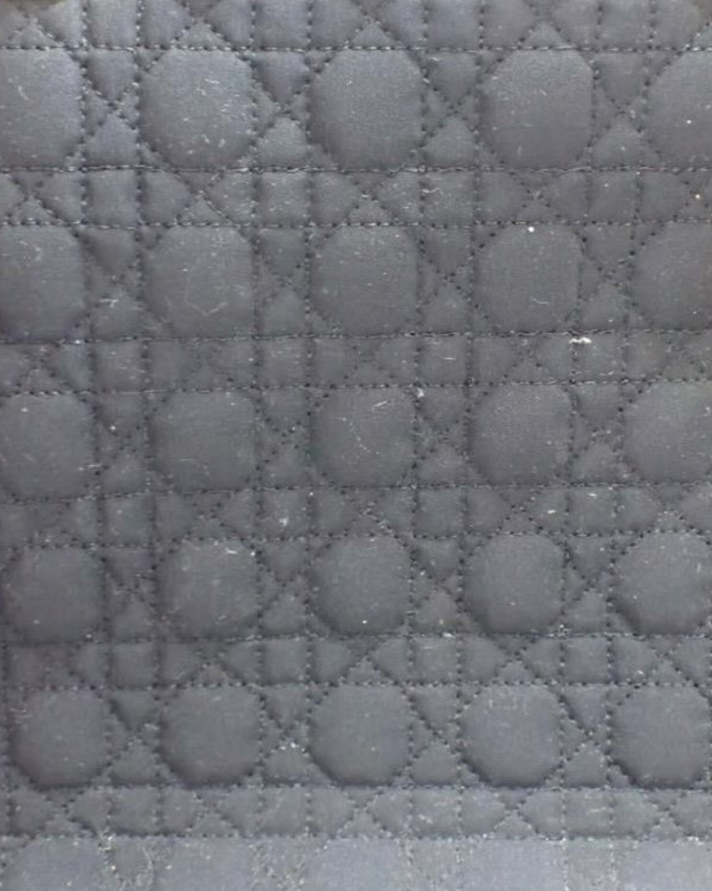 Lady Dior Nylon Bag