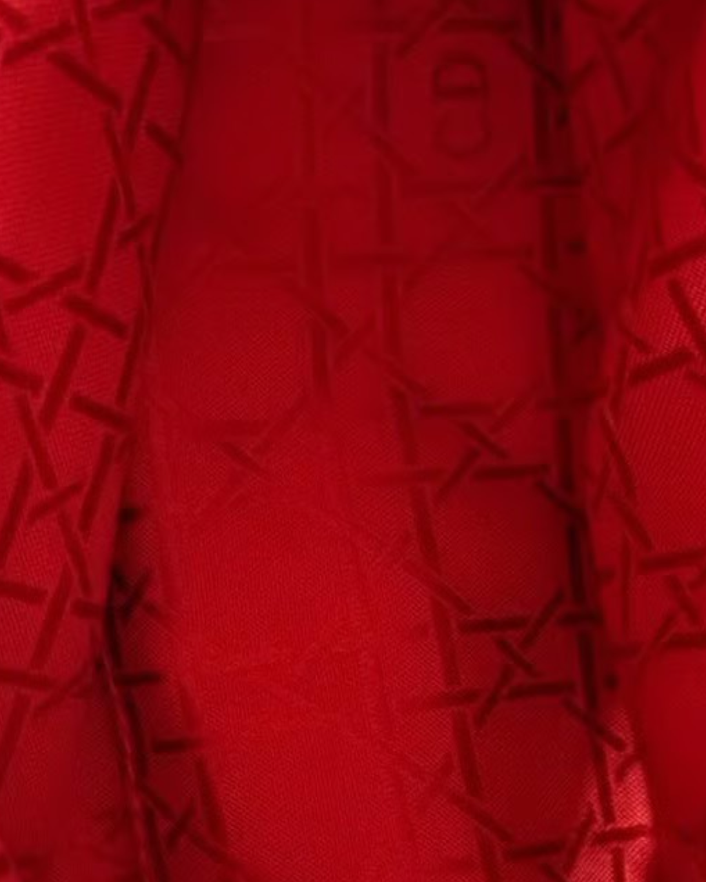 Lady Dior Nylon Bag